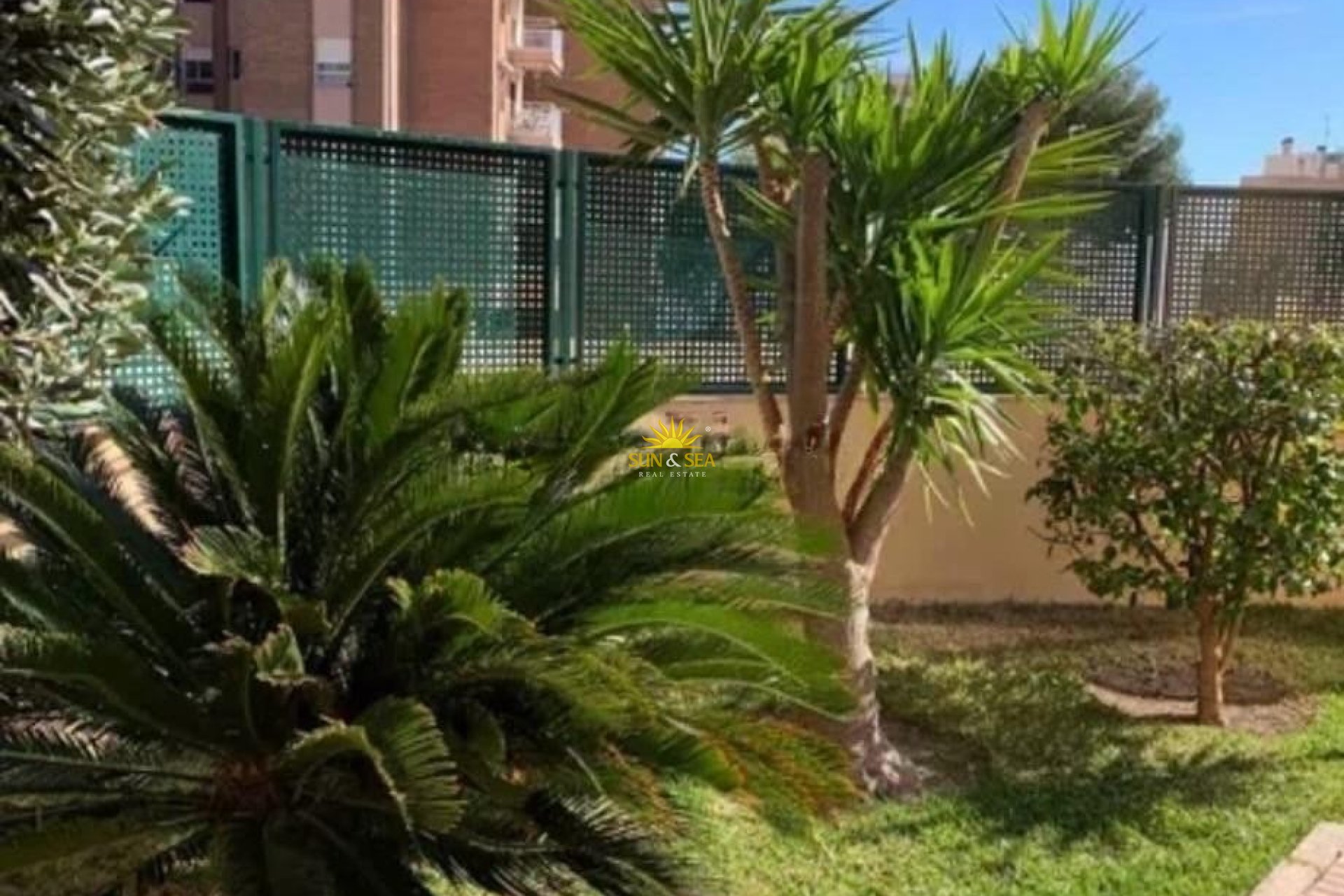 Location d’hiver - Appartement - El Campello - Campello