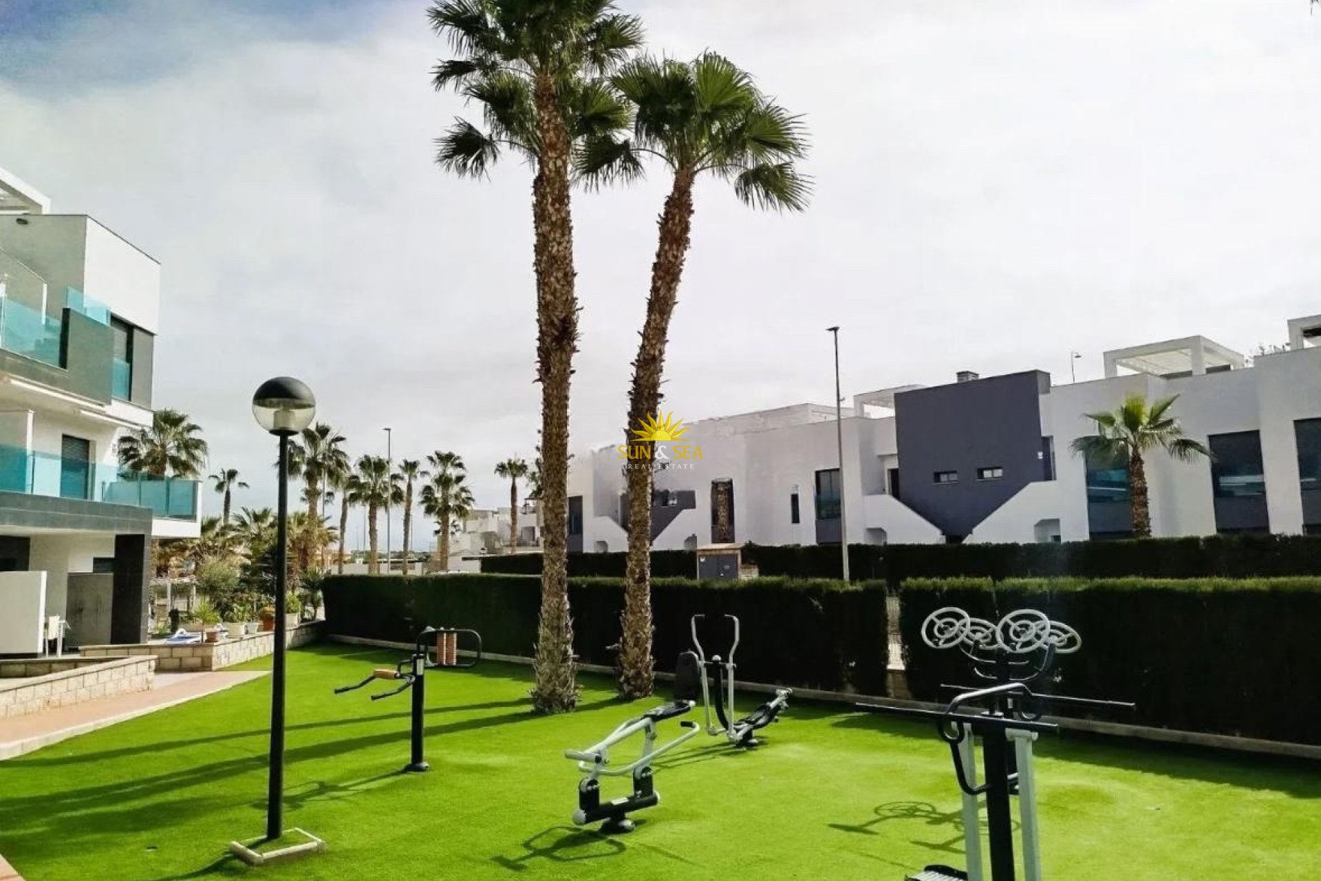 Location d’hiver - Appartement - Guardamar del Segura - guardamar del segura