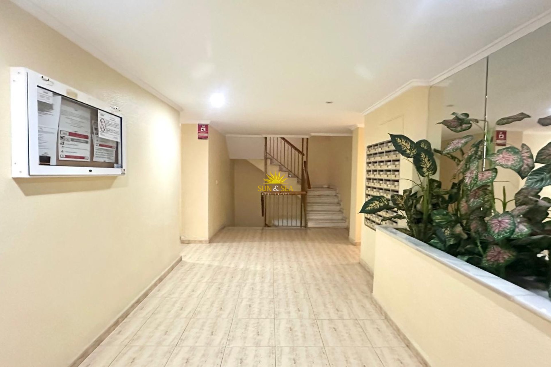 Location d’hiver - Appartement - Torrevieja - Acequion