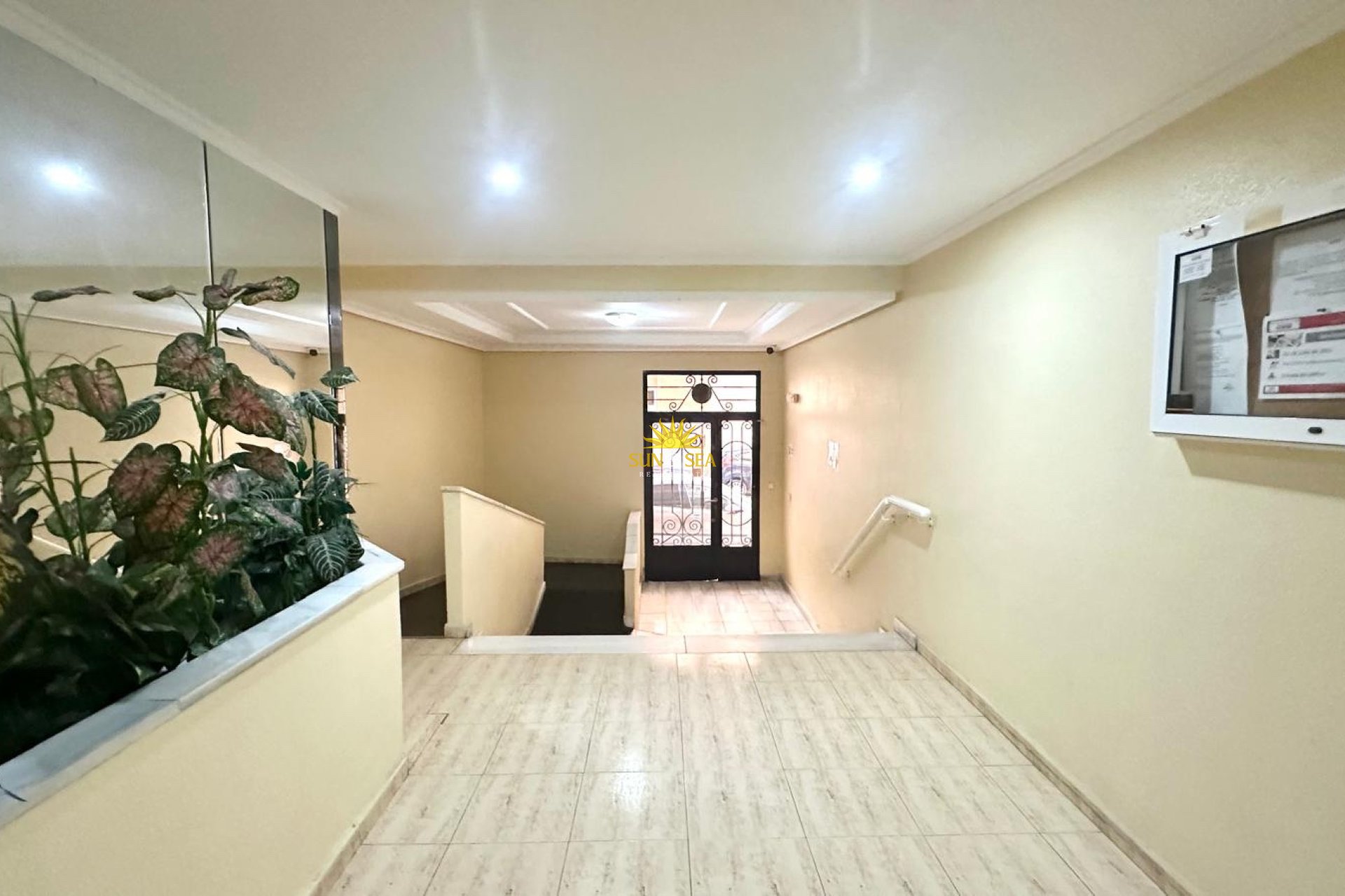 Location d’hiver - Appartement - Torrevieja - Acequion