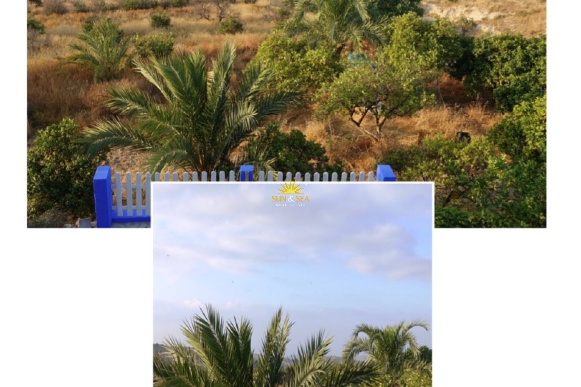 Location d’hiver - Villa - Alicante (Alacant)