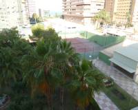 Location longue durée - Appartement - Alicante - Playa San Juan