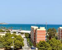 Location longue durée - Appartement - Alicante - Raval Roig