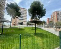 Location longue durée - Appartement - Benidorm - Playa Poniente