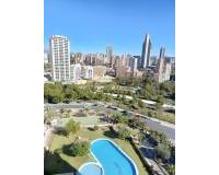 Location longue durée - Appartement - Benidorm