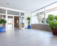 Location longue durée - Appartement - Benidorm