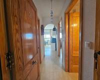 Location longue durée - Appartement - Cartagena - Playa Honda