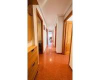 Location longue durée - Appartement - Elche - Altabix