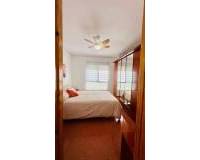 Location longue durée - Appartement - Elche - Altabix