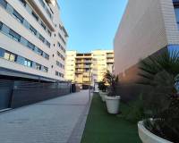 Location longue durée - Appartement - Elche - Altabix