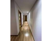 Location longue durée - Appartement - Elche - Ciutat Jardí - Torreta Verdí