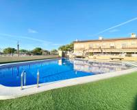 Location longue durée - Appartement - Elche