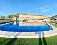 Location longue durée - Appartement - Elche