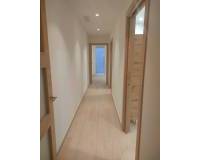 Location longue durée - Appartement - Elche