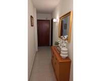 Location longue durée - Appartement - Guardamar del Segura - guardamar del segura
