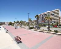 Location longue durée - Appartement - Guardamar del Segura - Guardamar Playa