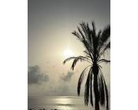 Location longue durée - Appartement - Guardamar del Segura - Guardamar Playa