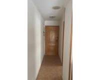 Location longue durée - Appartement - Guardamar del Segura - Guardamar Playa