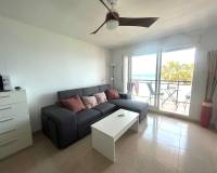 Location longue durée - Appartement - La Manga del Mar Menor - La Manga Del Mar Menor