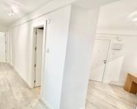 Location longue durée - Appartement - Murcia