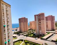 Location longue durée - Appartement - Orihuela Costa - Dehesa de campoamor