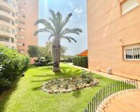 Location longue durée - Appartement - Orihuela Costa - Dehesa de campoamor
