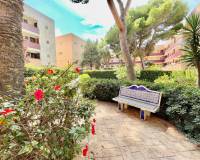 Location longue durée - Appartement - Pilar de la Horadada - Mil Palmeras