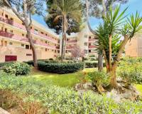 Location longue durée - Appartement - Pilar de la Horadada - Mil Palmeras