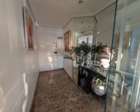 Location longue durée - Appartement - San Juan Playa - Cabo De Las Huertas