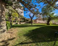 Location longue durée - Appartement - San Juan Playa - Cabo De Las Huertas