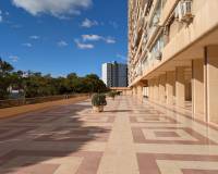 Location longue durée - Appartement - San Juan Playa - Cabo De Las Huertas