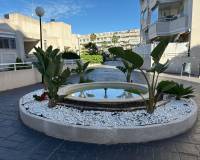 Location longue durée - Appartement - San Juan Playa - Cabo De Las Huertas