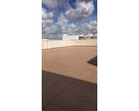 Location longue durée - Appartement - Torrevieja - Acequion