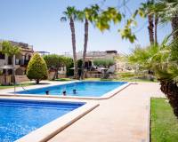 Location longue durée - Appartement - Torrevieja - Aguas Nuevas