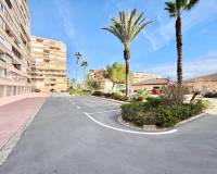 Location longue durée - Appartement - Torrevieja - Cabo cervera