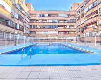 Location longue durée - Appartement - Torrevieja - Centro