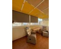 Location longue durée - Appartement - Torrevieja - Centro