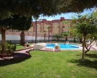 Location longue durée - Appartement - Torrevieja - Centro