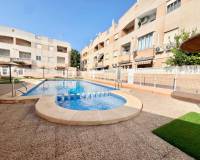 Location longue durée - Appartement - Torrevieja - Centro