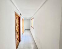 Location longue durée - Appartement - Torrevieja - Centro