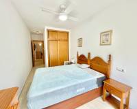 Location longue durée - Appartement - Torrevieja - Centro