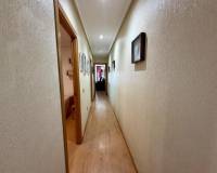 Location longue durée - Appartement - Torrevieja - Centro