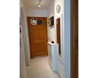 Location longue durée - Appartement - Torrevieja - El Acequión - Los Náufragos