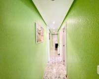 Location longue durée - Appartement - Torrevieja - El acequión