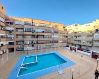 Location longue durée - Appartement - Torrevieja - El molino