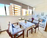 Location longue durée - Appartement - Torrevieja - La Mata