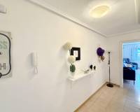 Location longue durée - Appartement - Torrevieja - La Mata