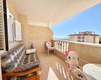 Location longue durée - Appartement - Torrevieja - La Mata