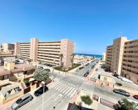 Location longue durée - Appartement - Torrevieja - La Mata