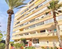 Location longue durée - Appartement - Torrevieja - La Mata